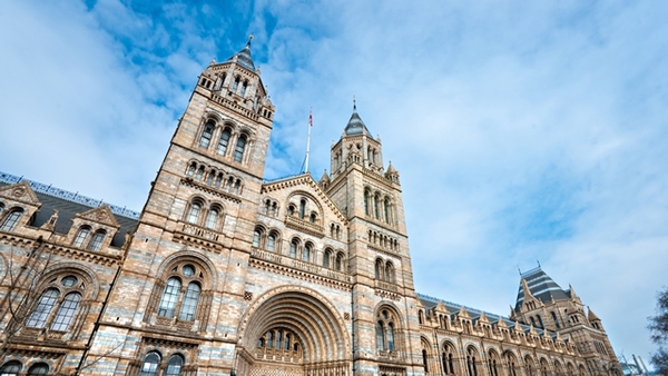 PARRY HALL CAMPUS - LONDRA CENTRO
